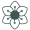 flower-type-icon