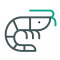 forms-shrimp-icon